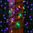 thumbnail image 2 of Novelty Lights 24 Feet 70 LED True Twinkle C6 Mardi Gras String Lights, 2 of 7