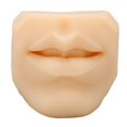 thumbnail image 2 of Modèle de Bouche de Simulation, Format Portable Réutilisable en Silicone Souple Modèle de Bouche Humaine pour l'Enseignement de l'Acupuncture, 2 of 8