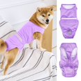 thumbnail image 4 of MesaSe Vêtements de Récupération pour Animaux de Compagnie Confortable Respirant Réglable Chirurgie pour Chien Récupération Costume Protection Anti-Léchage Approvisionnement pour Animaux de Compagnie Rose, 4 of 13