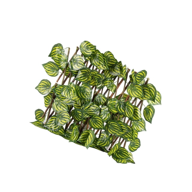 kurtrusly Clôture de Jardin Rétractable Écran d'Intimité Extérieur Feuille de Melon D\'eau