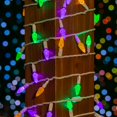 thumbnail image 3 of Novelty Lights 24FT 70 LED C6 Mardi Gras String Lights, Yellow & Purple, 3 of 6