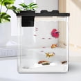 thumbnail image 3 of QualitChoice 5 Gallon Fish Tank Provides Unmatched Clarity Observing Betta Fish Enchantment 5 Gallon Tank Starter Kit black L, 3 of 6