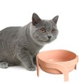 thumbnail image 4 of CBFFDC Dog Feeding Dish Pet Bowl Large Capacity Dog Food Container with Non Slip Base Elevated Design Water Drinking Bowl for Small Pets, 4 of 7