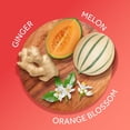thumbnail image 2 of Calgon Brume parfumée, gingembre hawaïen, 2 of 9