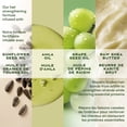 thumbnail image 4 of SheaMoisture Strengthening Hair Oil Bonding Amla Oil, 97 ml, 4 of 7