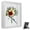 white, variant on DEBGFS 8x10 inch Shadow Box Frame with Linen Back - Sturdy Rustic Memory Display Case of Flower Pictures Medals and More Tempered Glass,white,8" x 10"