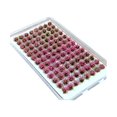 thumbnail image 3 of jifeng Artificial DIY Miniature Flower Cluster Grass Tufts Diorama Layout Scenery Model Pink, 3 of 9
