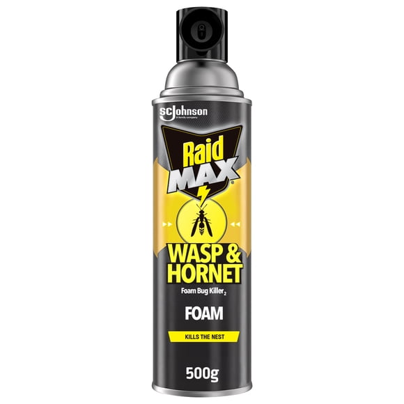 Mousse insecticide Raid contre les guêpes et les frelons, 500 g
