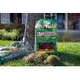 thumbnail image 4 of Scotts Turf Builder Enriched Lawn Soil - 28.3L, 4 of 6