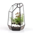 thumbnail image 4 of Irregular Glass Geometric Terrarium Box Flower Pot Fern D3.94 x 3.94 x 5.9 inch, 4 of 7