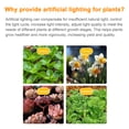 thumbnail image 4 of LED Growth Light Strips for Indoor Plants Pink-purple LEDs Grow, 4 of 8