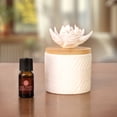 thumbnail image 2 of ScentSationals 100% Essential Oil - Grapefruit, 2 of 8