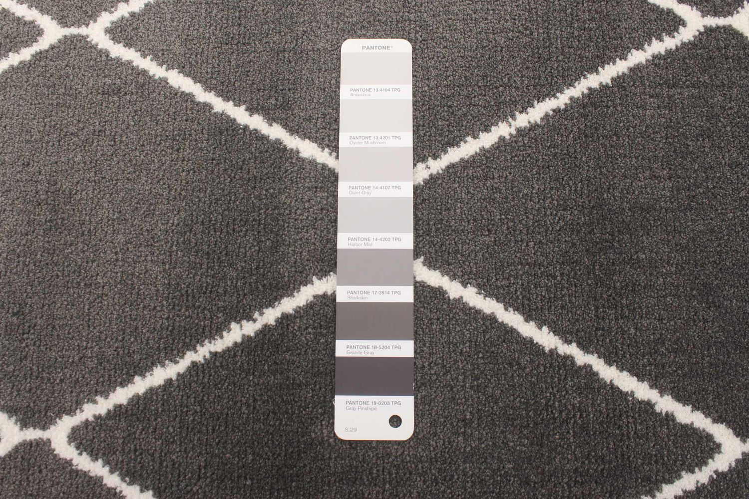 Tapis ECARPET Contemporain pour Salon, Chambre à Coucher, Salle Manger