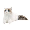 thumbnail image 3 of Siruishop Ragdoll Cat Stuffed Animal Comfortable Cat Doll for Kids Cat Lovers Children, 3 of 8