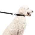 thumbnail image 2 of One Paw, Webbing Collar for Dogs, Multiple Colors and Sizes, 2 of 5
