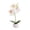 White, variant on TIELUTT Bonsai Indoor Orchid Bonsai Fall Flowers Flowers Teal Flowers Jasmine Flowers Flowers Outdoor