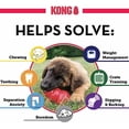 thumbnail image 4 of KONG Puppy Classic Teething Treat Dispensing Chew Dog Toy, Small (3 Pack), 4 of 5