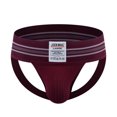thumbnail image 1 of Wolfast String pour Homme sous-Vêtements Aguichant Homme Décontracté Mode Irisé sous-Vêtements Aguichant String Rehausse-Fesses Culottes Respirantes String pour Homme sous-Vêtements Aguichant, 1 of 8