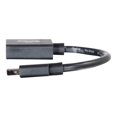 thumbnail image 2 of C2G 6in Mini DisplayPort to DisplayPort Adapter - Mini DP to DP Adapter - 4K 30Hz - Black - M/F - DisplayPort cable - Mini DisplayPort (M) to DisplayPort (F) - 6 in - black, 2 of 3