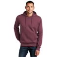 thumbnail image 1 of District Perfect Weight Fleece Hoodie DT1101, 1 of 1