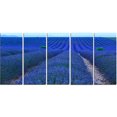 thumbnail image 2 of Lavender Field Sunset Near Valensole - Floral Canvas Art Print, 2 of 3
