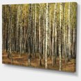 thumbnail image 2 of Green Fall Forest with Thick Trees - Forest Canvas Art Print, 2 of 4