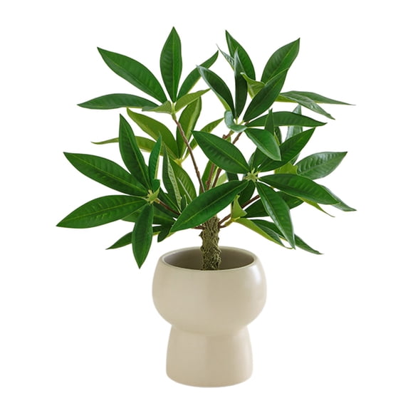 A Simulated Green Decoration Small Potted Plants Living Room Decorations Eternal Green Plants False Flowers Indoor Bonsai Decorations Money Tree A 11.81X3.94X3.94 Inch Ceramic Pot