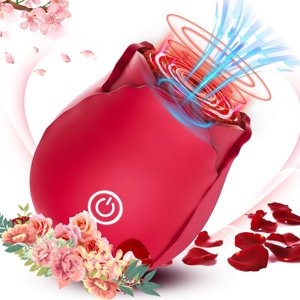 Rose masseur 10Modes Chef de file pour les femmes 10modes 0W1A11