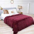 thumbnail image 2 of Unique Bargains Luxury Fleece Bed Blanket Woven Mesh, 2 of 10