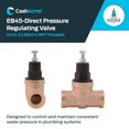 thumbnail image 4 of Cash Acme EB45 Pressure Regulating Valve, 3/4 Inch NPT Threaded, Poly Top, 45 PSI, 23881-0045, 4 of 4