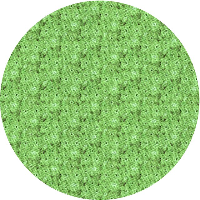 Ahgly Tapis Rond Lavable en Machine Intérieur Transitionnel Vert Émeraude, 4 Pieds Rond