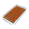 thumbnail image 2 of jifeng Artificial DIY Miniature Flower Cluster Grass Tufts Diorama Layout Scenery Model Orange, 2 of 9