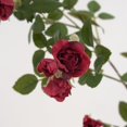 thumbnail image 3 of TopLLC Artificial Flowers, Fake Flowers Artificial Flowers Long Small Roses Modern Living Room Decorations Table Flowers Flower Arrangements Artificial Flower Bouquets Fake Roses, 3 of 3