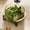 C, variant on RKSTN glass fruit plate Glass Fruit Tray Vegetable Tray Household Snack Candy Dried Fruit Tray Display Stand