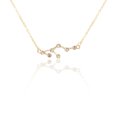 thumbnail image 1 of pitrice Ins Constellations Theme Friendship Necklace Rhinestone Comfortable Delicate with Display Card Pendant for Lover Festival Gifts Leo gold, 1 of 5