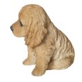 thumbnail image 3 of Décoration de Jardin Statue d'Animal Couleur Crème Statue Cocker Spaniel, 3 of 5