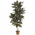 thumbnail image 1 of 5' Cordyline Silk Plant (Real Touch), 1 of 3