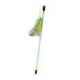 thumbnail image 1 of MERIGLARE Cat Feather Toy Funny Exercise Toy Cat Teaser Stick for Kitten Cats Exercise Green, 1 of 1