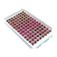 thumbnail image 4 of jifeng Artificial DIY Miniature Flower Cluster Grass Tufts Diorama Layout Scenery Model Pink, 4 of 9