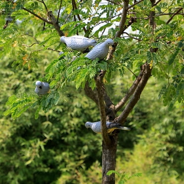 Chmadoxn Home Decor, Room Decor, Wall Decor Decoy Doved Field Simulation Decoy Hotel Decoration Dove Dove