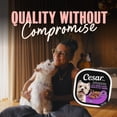 thumbnail image 4 of Cesar Classic Loaf in Sauce Filet Mignon Flavour Soft Wet Dog Food, 4 of 10