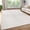 White, variant on HOMERRY 9 x 12 Fluffy Area Rug for Bedroom, Fuzzy Shag Area Rug for Living Room Non-Skid Plush Large Rug Shaggy Decorative Accent Rug for Indoor Home Floor Carpet, White