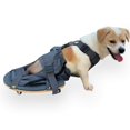 thumbnail image 1 of derYEP Pet Scooter Wheelchair for Rear Legs paralyzed Dog Protects Chest and Limbs, 1 of 5