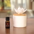 thumbnail image 2 of Huile Essentielle 100% ScentSationals - Eucalyptus, 2 of 8