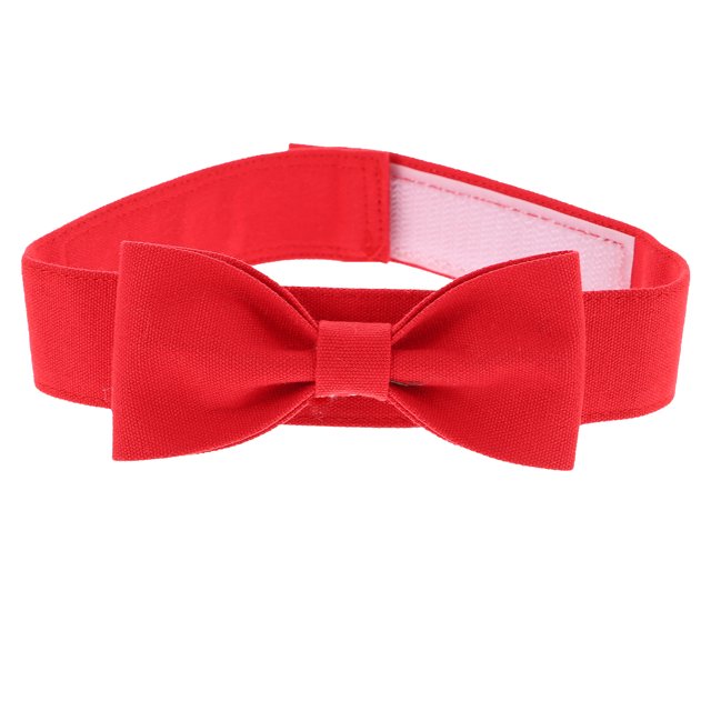 Collier Décoratif pour Chien Nœud Papillon pour Animaux de Compagnie
