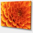 thumbnail image 2 of Large Orange Flower and Petals - Floral Canvas Art Print, 2 of 3