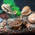 thumbnail image 4 of FUYPSE 2026 Nouvelle Arrivée Décoration de Statue de Tortue en Résine Résistante aux Intempéries, Artisanat Exquis, Sculpture d'Animal Artistique Simulée, Convient aux Jardins Extérieurs, Cours, Étangs, Cadeaux de Décoration, 4 of 7