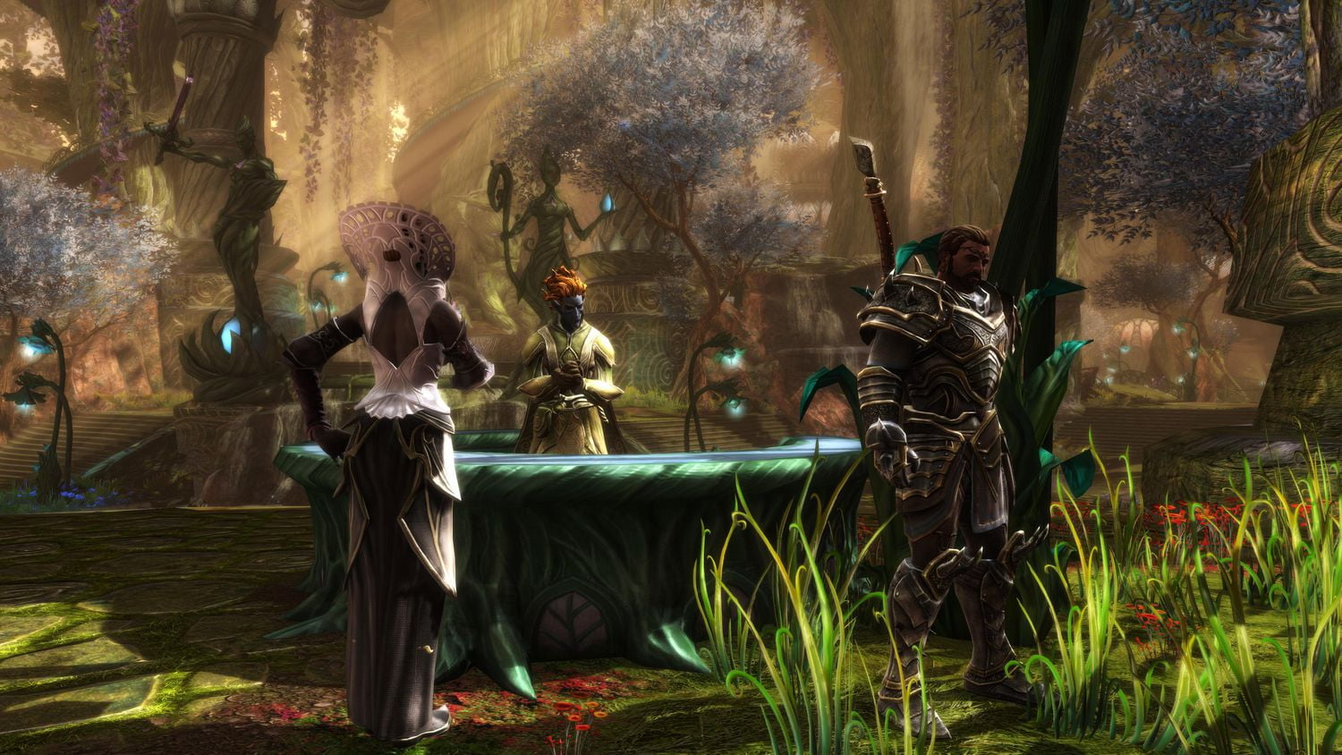 Jeu vidéo Kingdoms of Amalur Re-Reckoning pour (PS4)