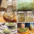 thumbnail image 2 of Sprouting Jar Kit, Wide Mouth Sprouting Lids with Stainless Steel Mesh, 32 Oz Germination Set with Stand and Tray, Complete Seed Sprouter for Home Kitchen Countertop, 2 of 4