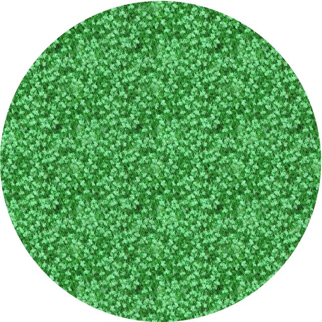 Ahgly Tapis Rond Lavable en Machine Intérieur Transitionnel Vert, 5 Pieds Rond